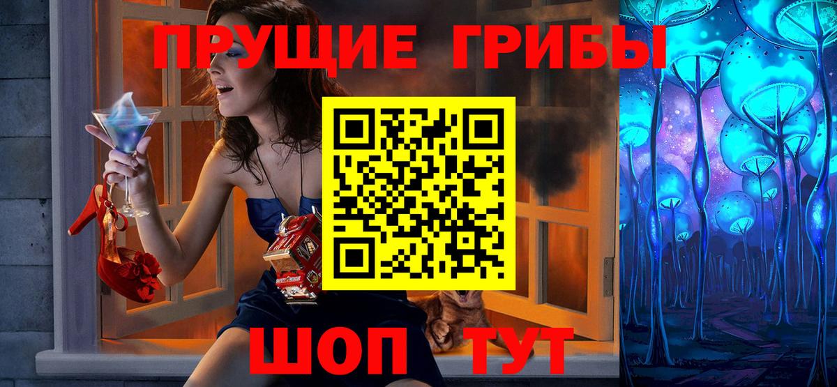 Астрахань  цена   Вход с VPN  Галлюциногенные грибы GOLDEN TEACHER 