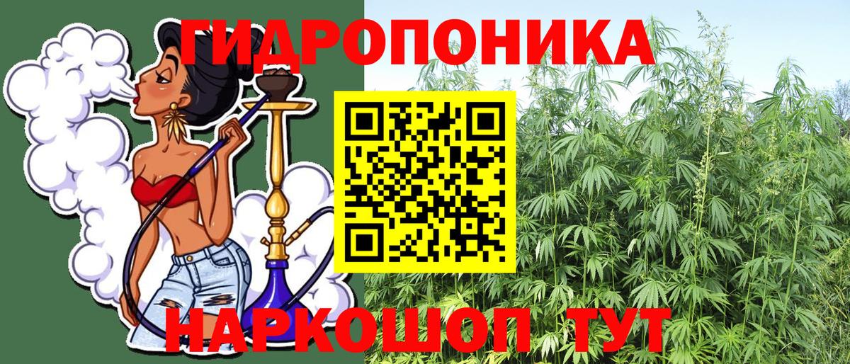 Шишки марихуана тримм  МАРИХУАНА марихуана  Вход с VPN  Канабис White Widow  Шишки марихуана SATIVA & INDICA  Астрахань 